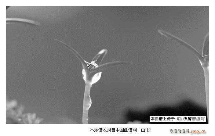 wrewrewr sdfewr(十字及以上)1