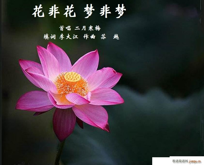 花非花梦非梦 填词(九字歌谱)1