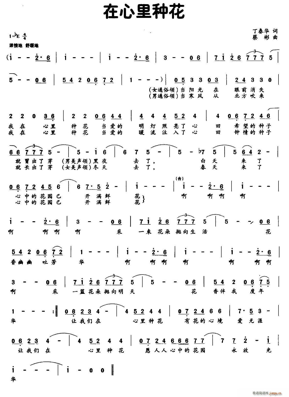 在心里种花(五字歌谱)1