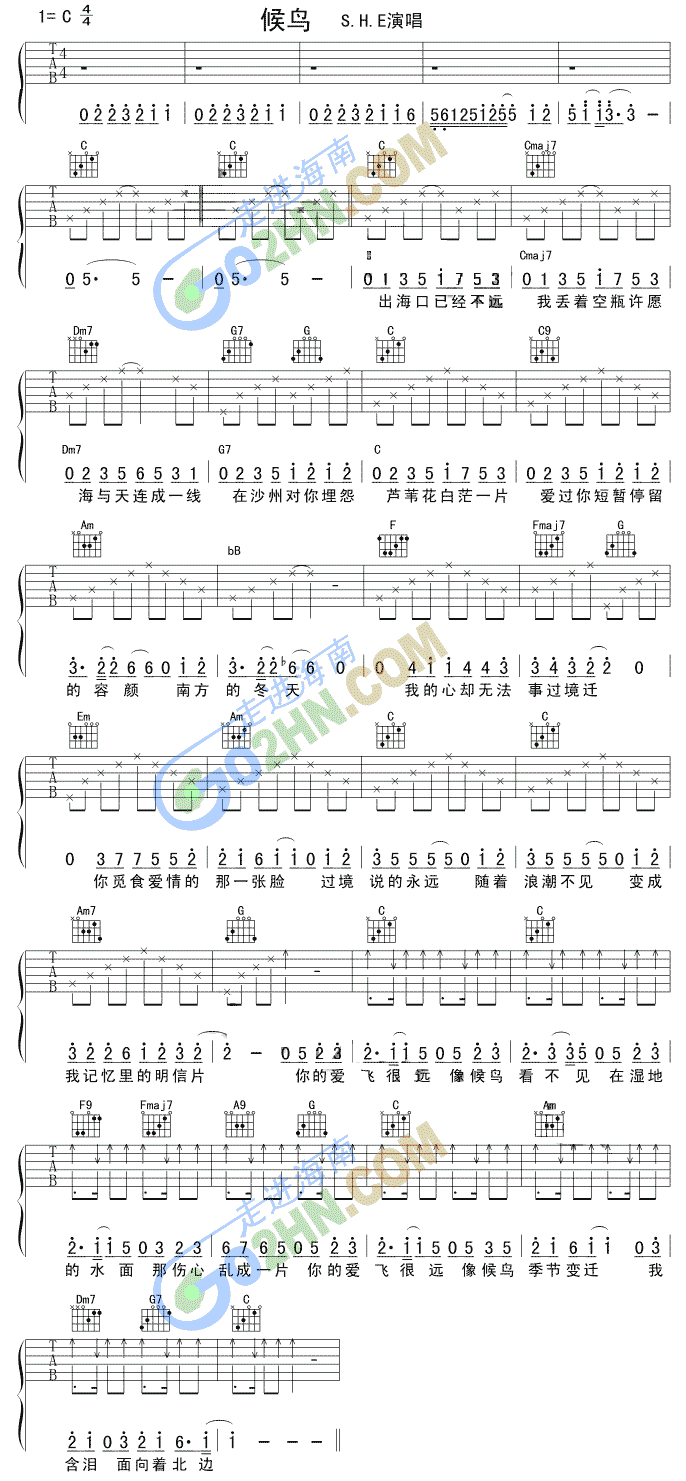 候鸟(吉他谱)1