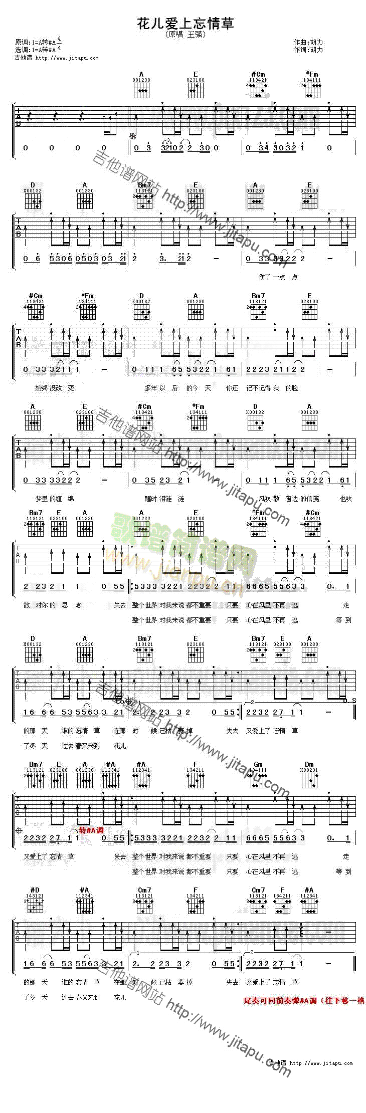 花儿爱上忘情草(吉他谱)1