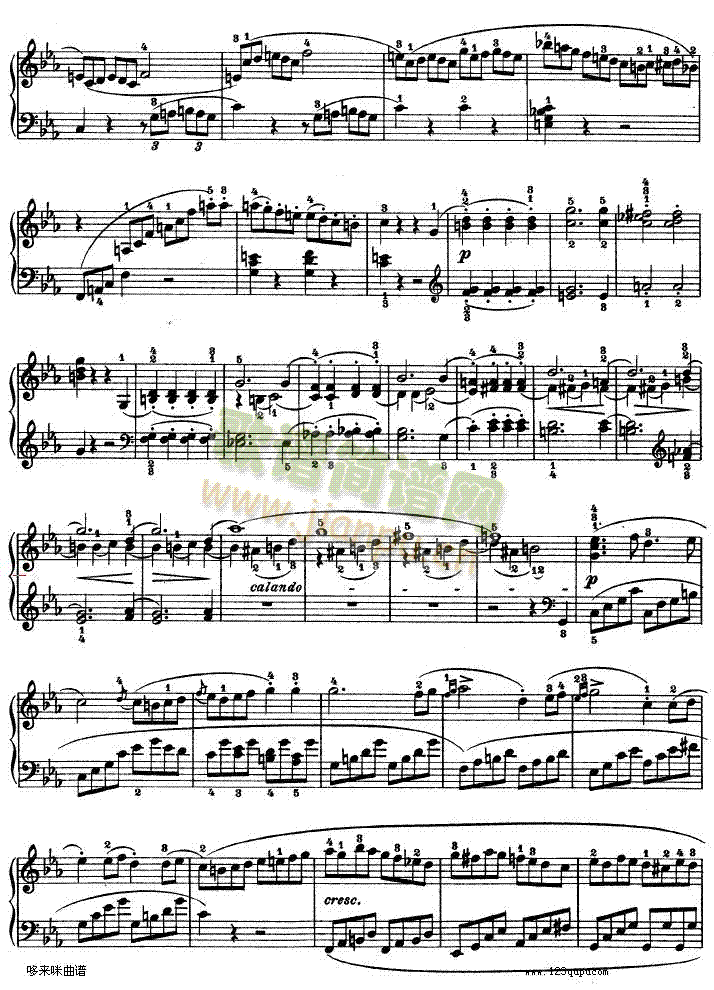 C小调第八琴奏鸣曲Op—13-贝多芬(钢琴谱)17