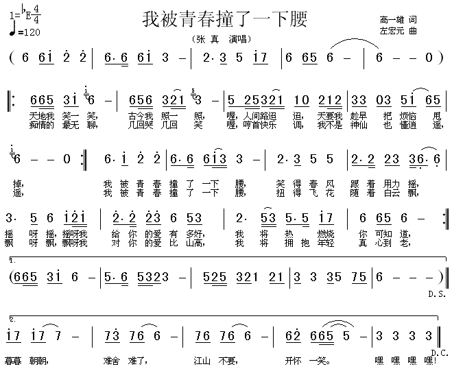 我被青春撞了一下腰(九字歌谱)1