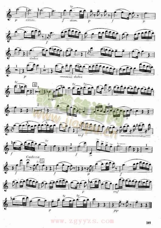 MorzatCMajorConcerto(其他)6