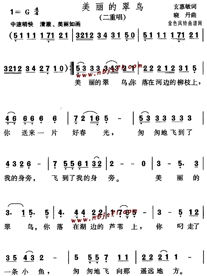 美丽的翠鸟(五字歌谱)1