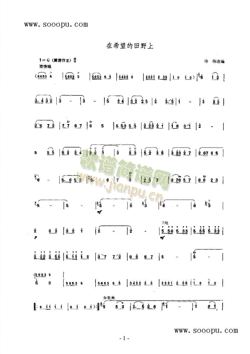 在希望的田野上民乐类唢呐(其他乐谱)1
