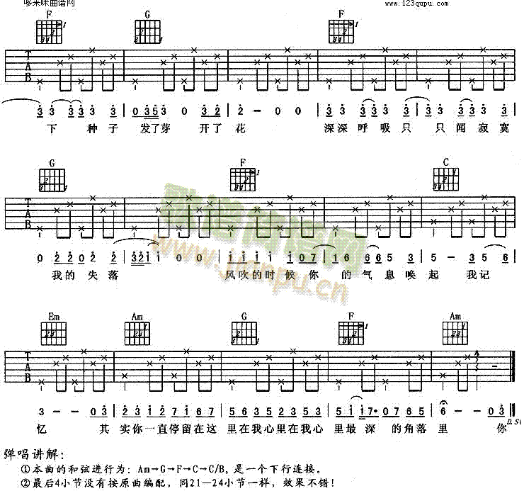 种子(吉他谱)3