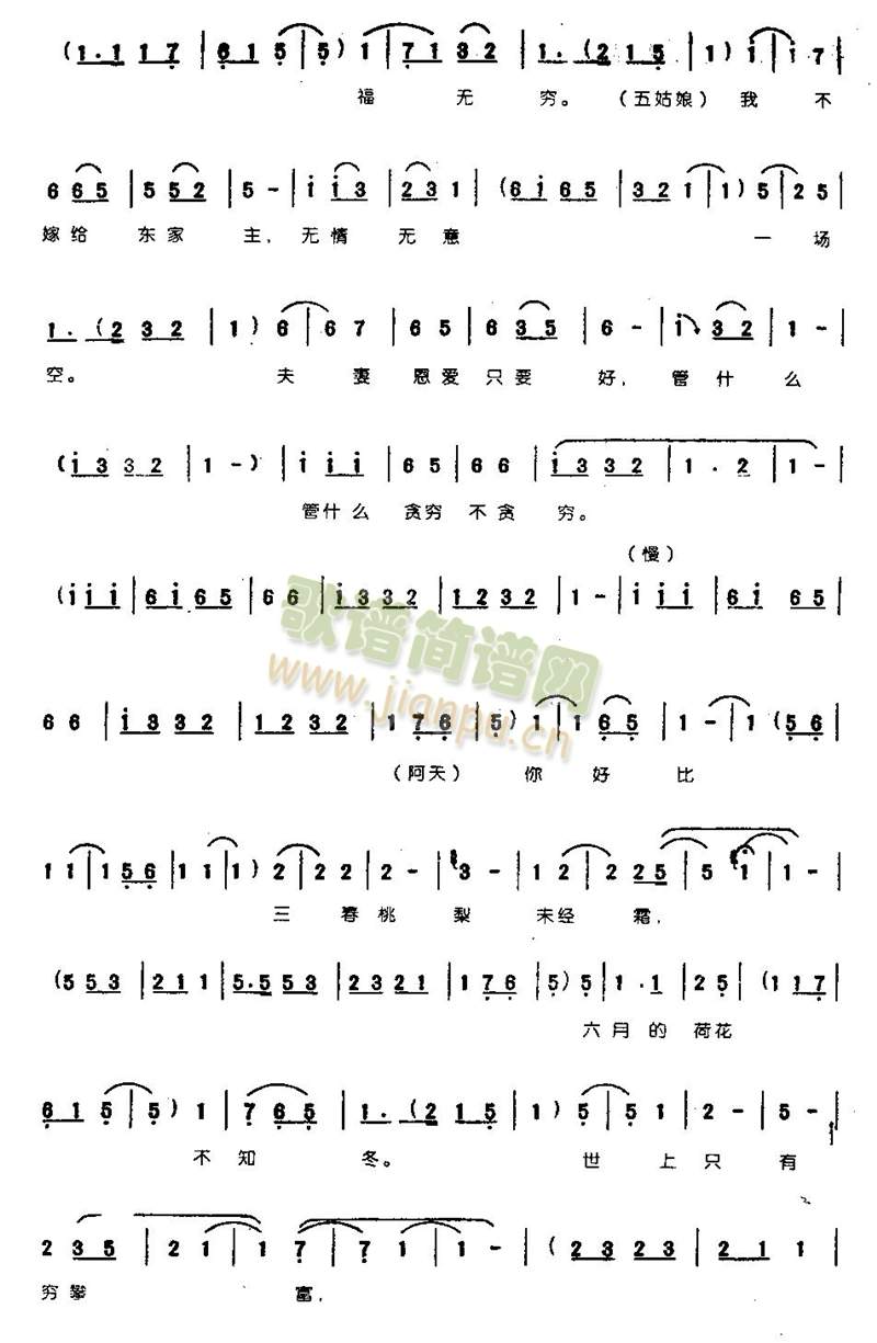 南瓜花开刺叭黄0007(其他)3