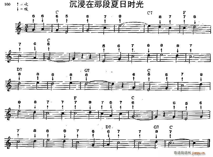 沉浸在那段夏日时光 布鲁斯(口琴谱)1