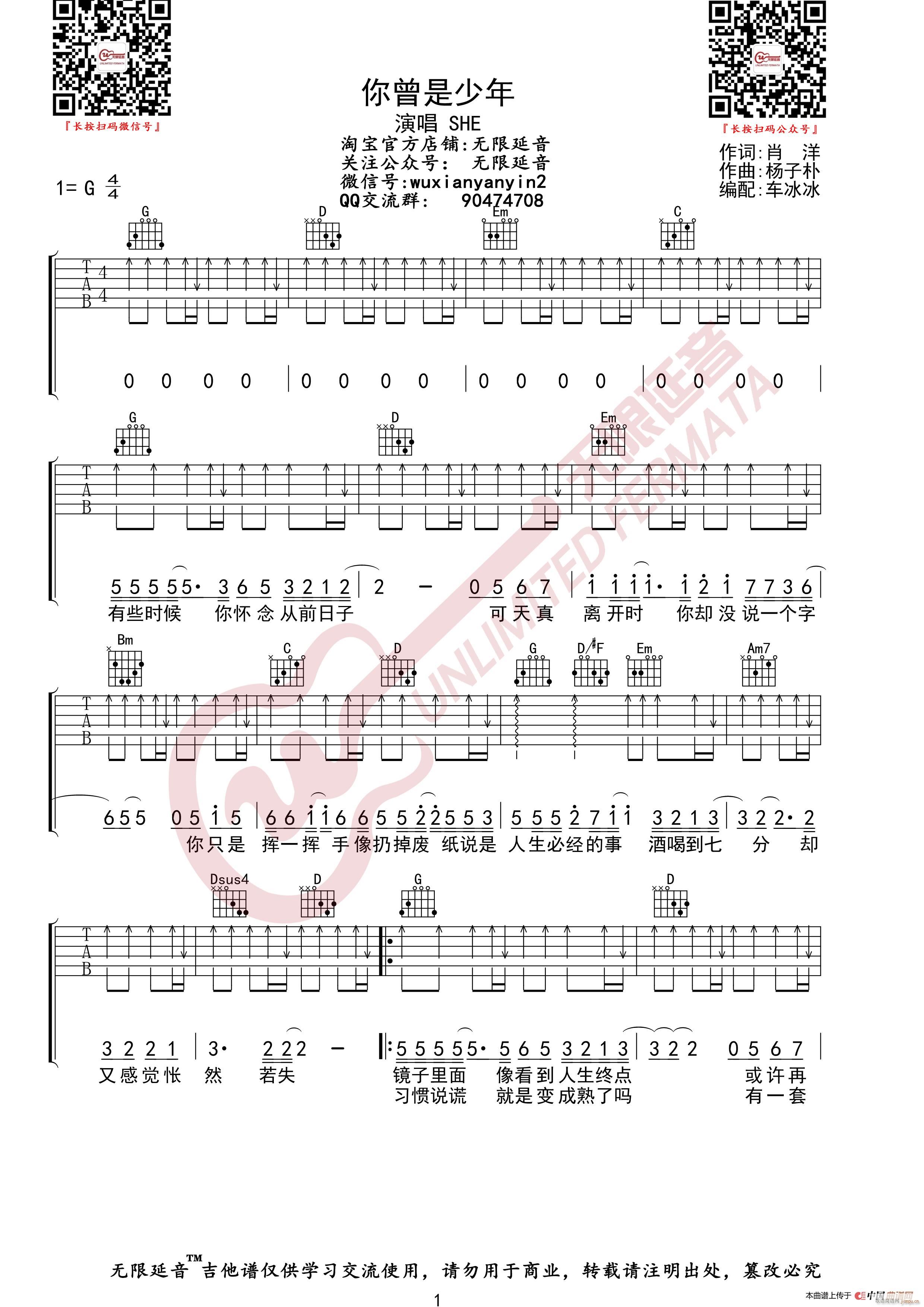 SHE 你曾是少年 无限延音编配(吉他谱)1