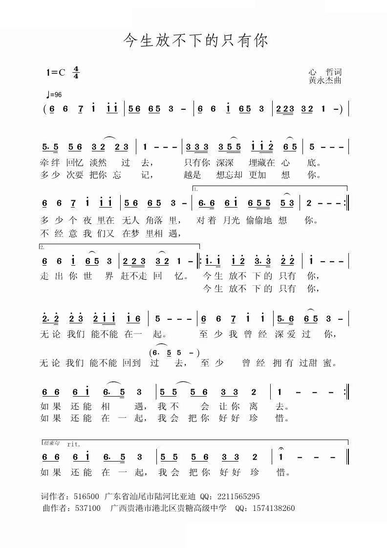 今生放不下的只有你(九字歌谱)1