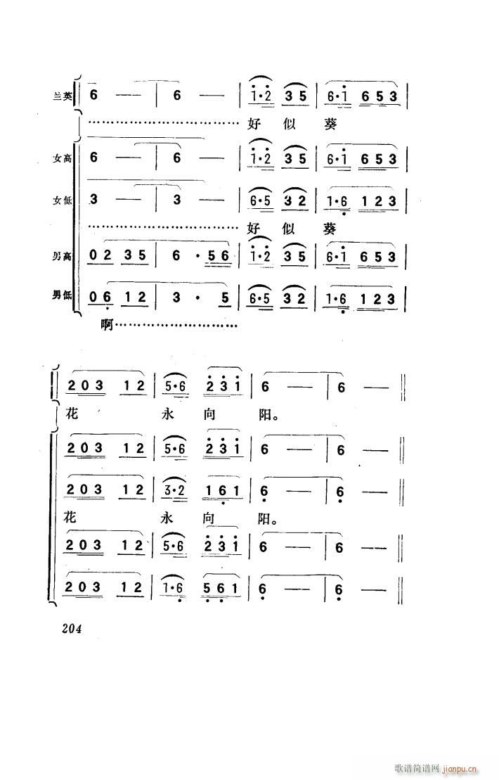 向阳川 歌剧 101 150(十字及以上)36