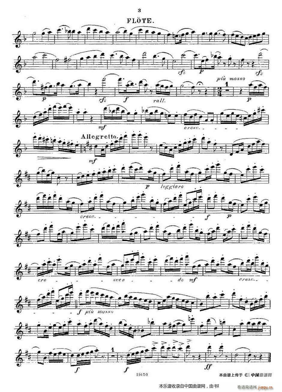 Opern Transcriptionen Op 45 8(笛箫谱)3