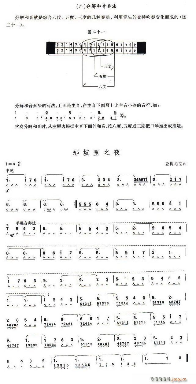 那坡里之夜(五字歌谱)1