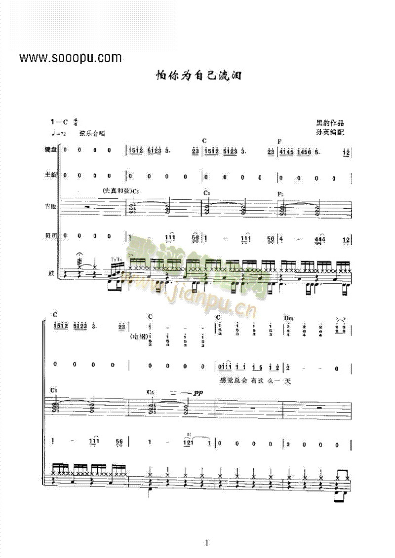 怕你为自己流泪乐队类电声乐队(其他乐谱)1