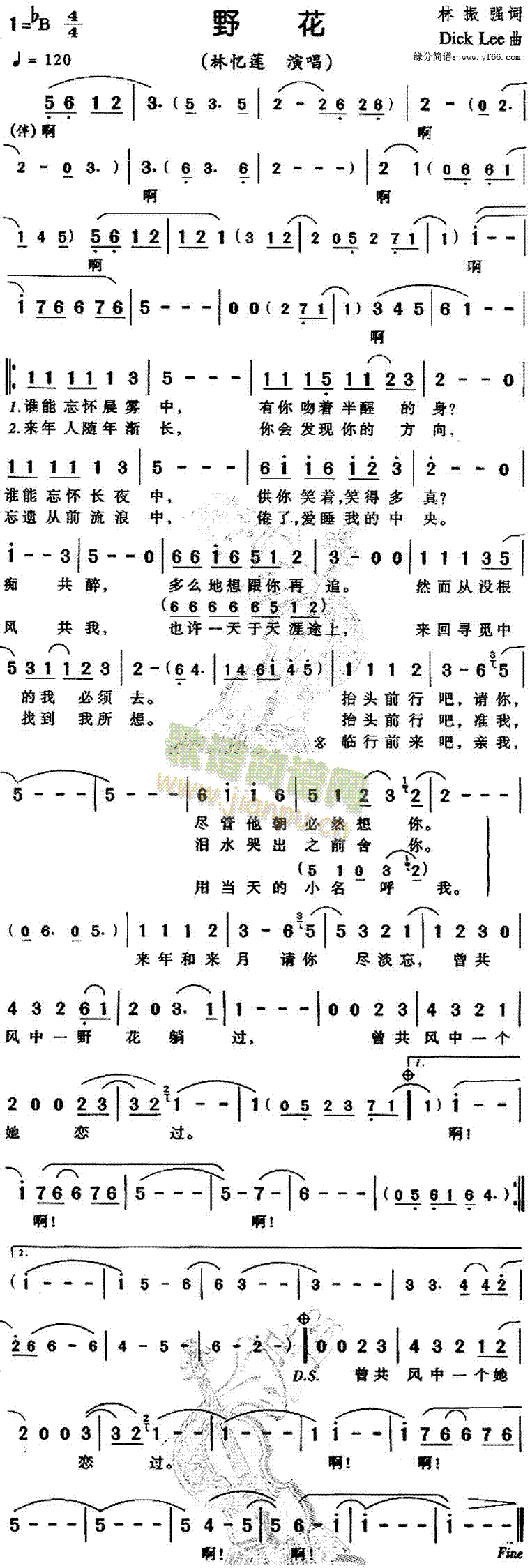 野花(二字歌谱)1