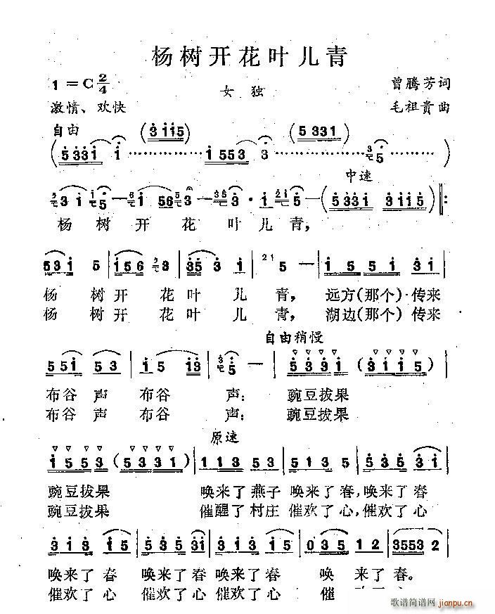 杨树开花叶儿青(七字歌谱)1