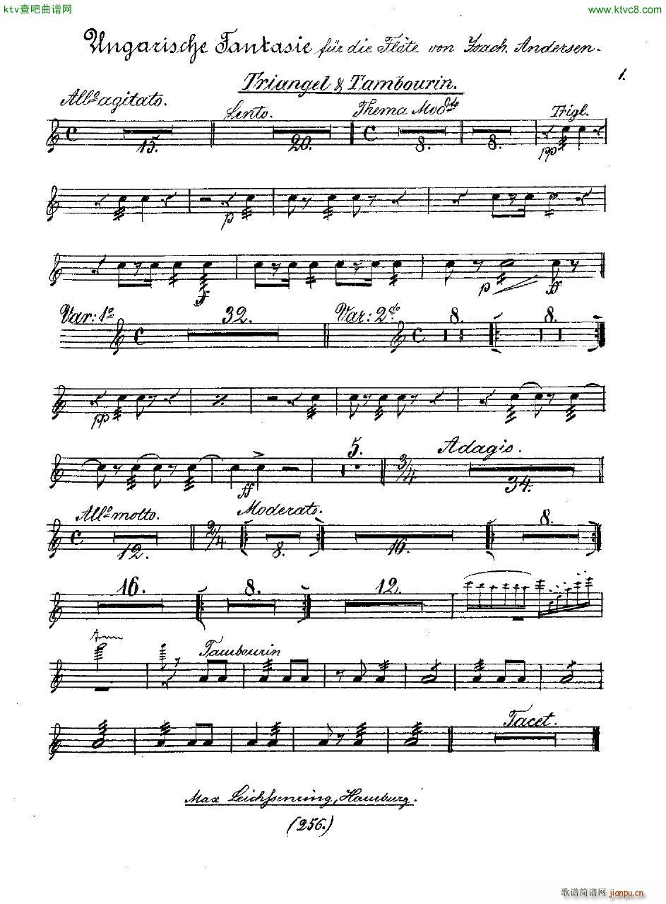 Andersen op 2 Ungarische Fantasie orch parts(钢琴谱)51