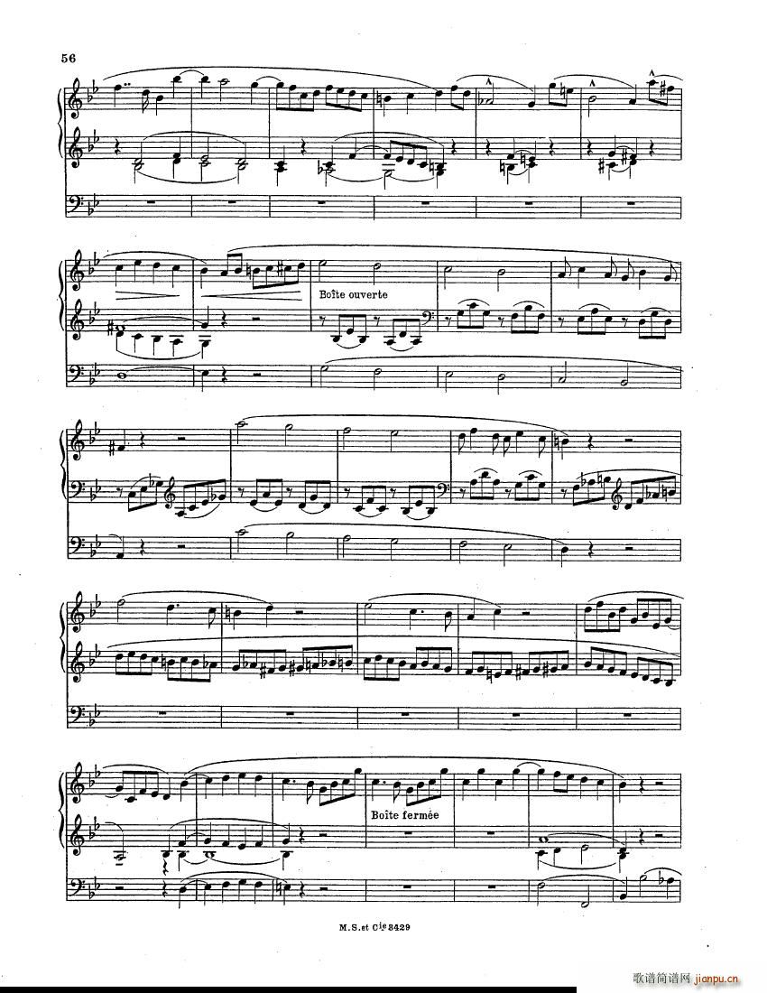 Botazzo Organ Sonata Organ Sonata(十字及以上)11