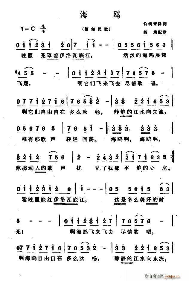 缅甸 海鸥(五字歌谱)1