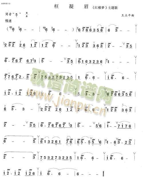 枉凝眉(笛萧谱)1