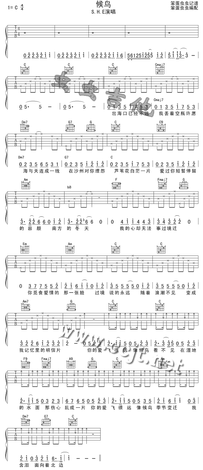 候鸟(二字歌谱)1