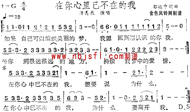 在你心里已不在的我(九字歌谱)1