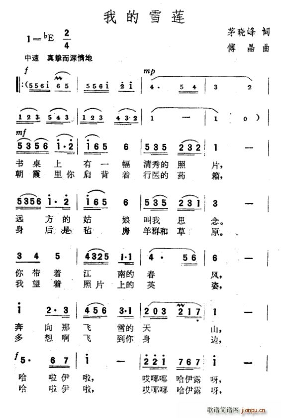 我的雪莲(四字歌谱)1