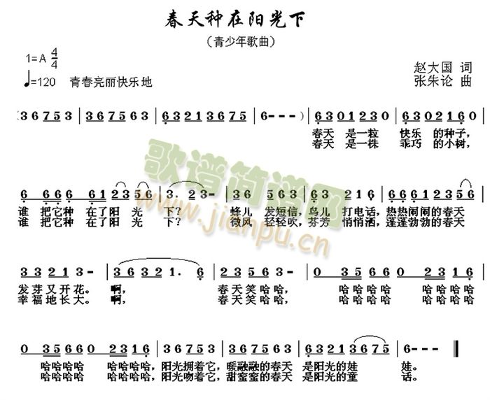 春天种在阳光下(七字歌谱)1