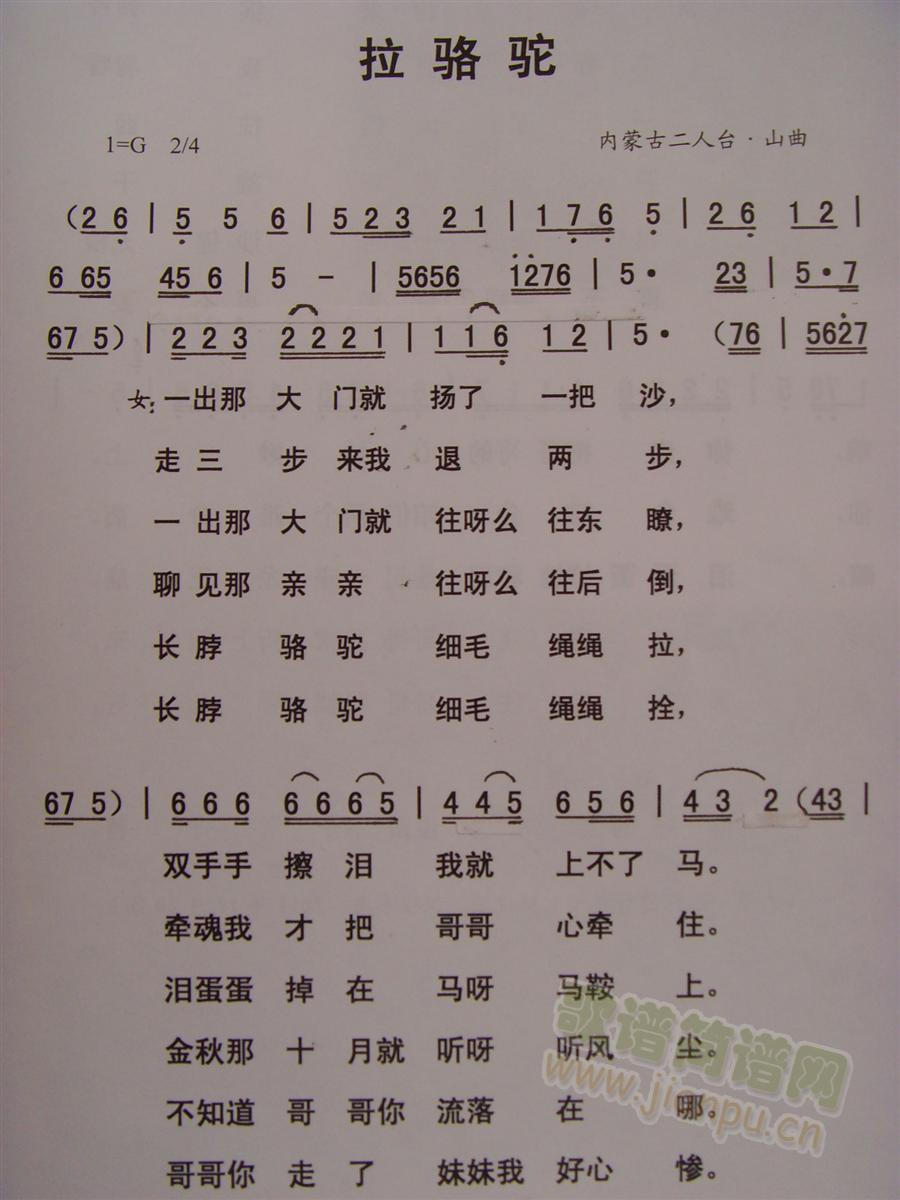 拉骆驼(三字歌谱)1