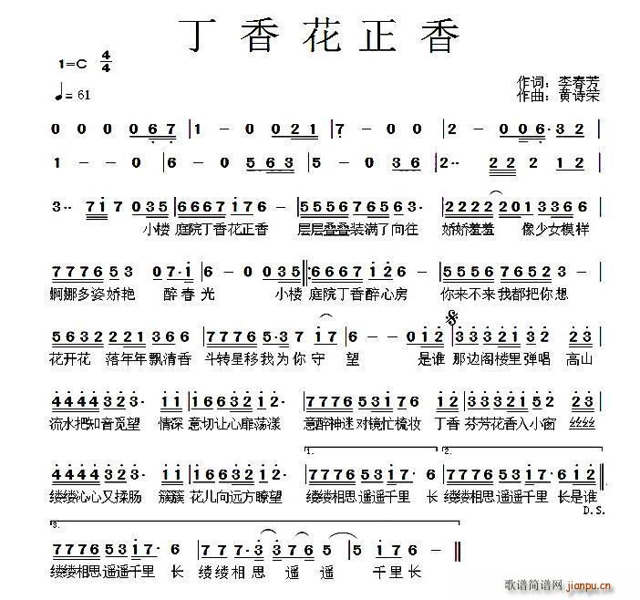 丁香花正香(五字歌谱)1