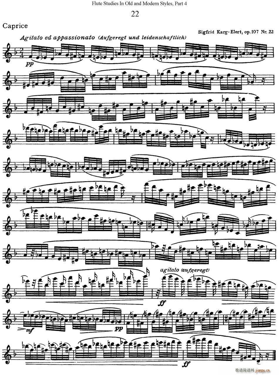 斯勒新老风格长笛练习重奏曲 第四部分 NO 22(笛箫谱)1