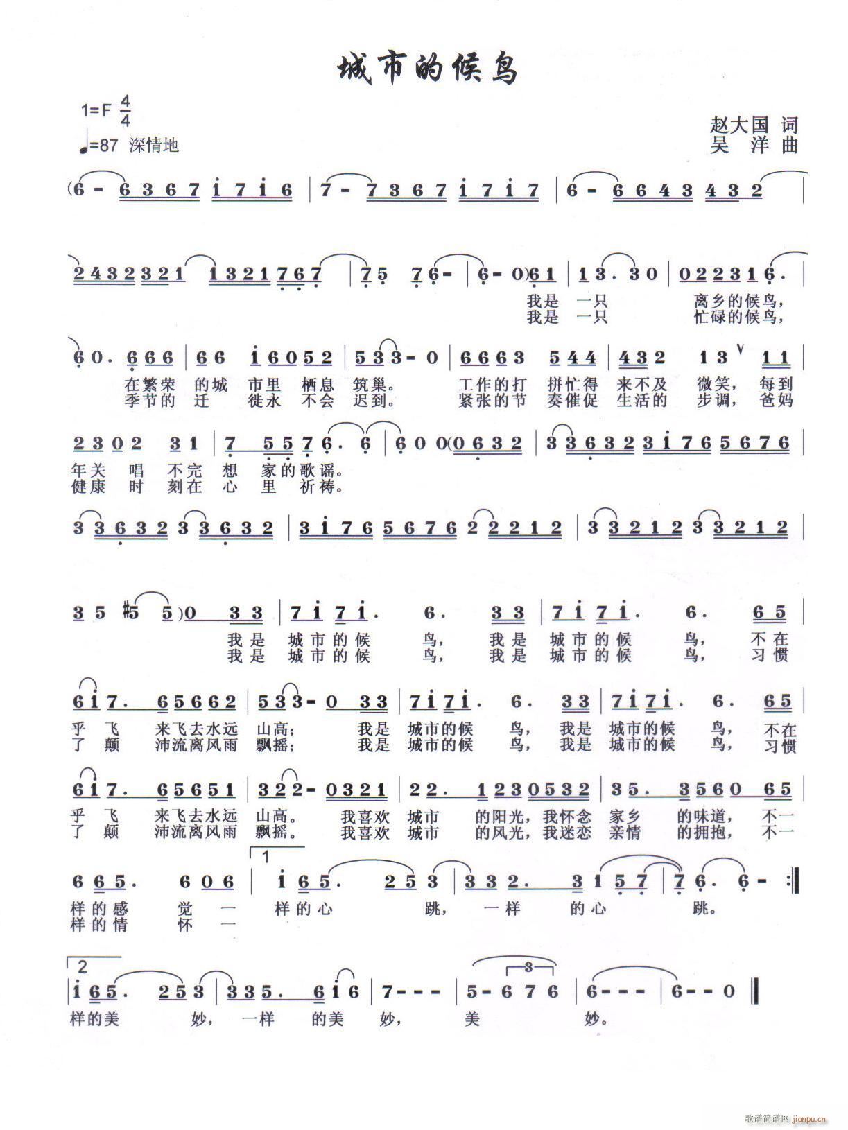 城市的候鸟(五字歌谱)1