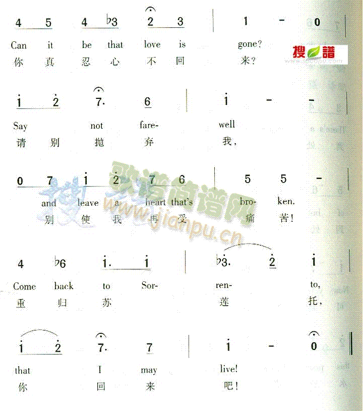 ComeBackToSorrento(十字及以上)3