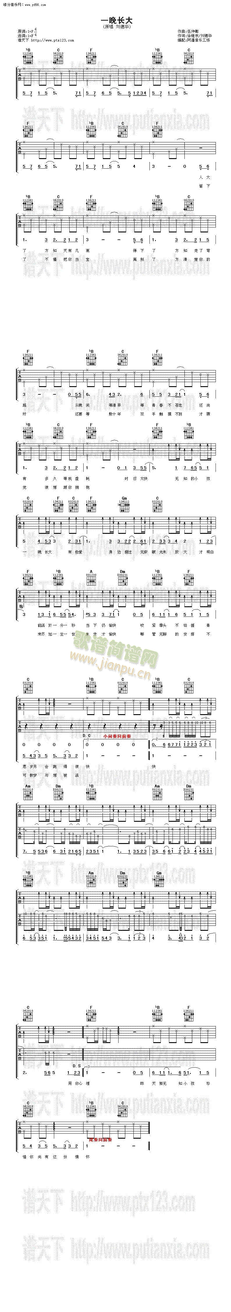 一晚长大(吉他谱)1