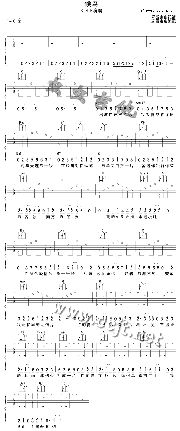 候鸟(二字歌谱)1