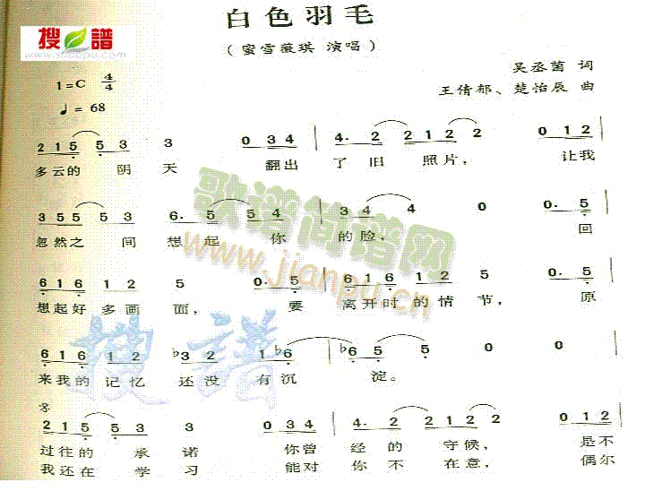 白色羽毛(四字歌谱)1