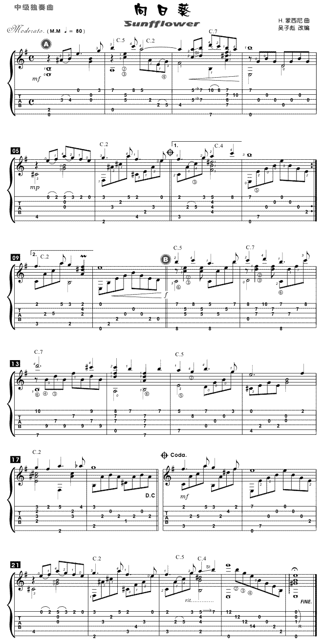 Sunfflower向日葵(十字及以上)1