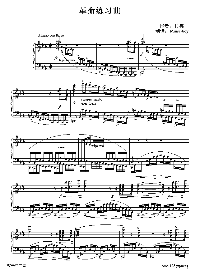 革命练习曲-肖邦(钢琴谱)1