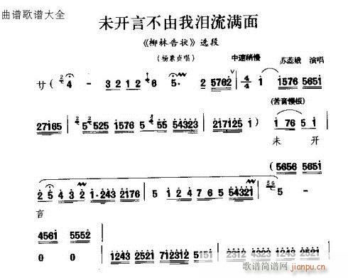 未开言不由我泪流满满(十字及以上)1