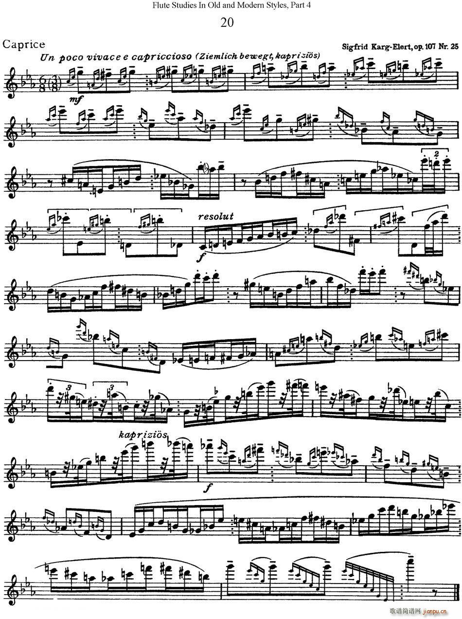 斯勒新老风格长笛练习重奏曲 第四部分 NO 20(笛箫谱)1