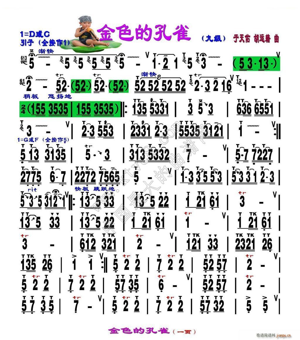 金色的孔雀 刘慧淑制谱版(十字及以上)1