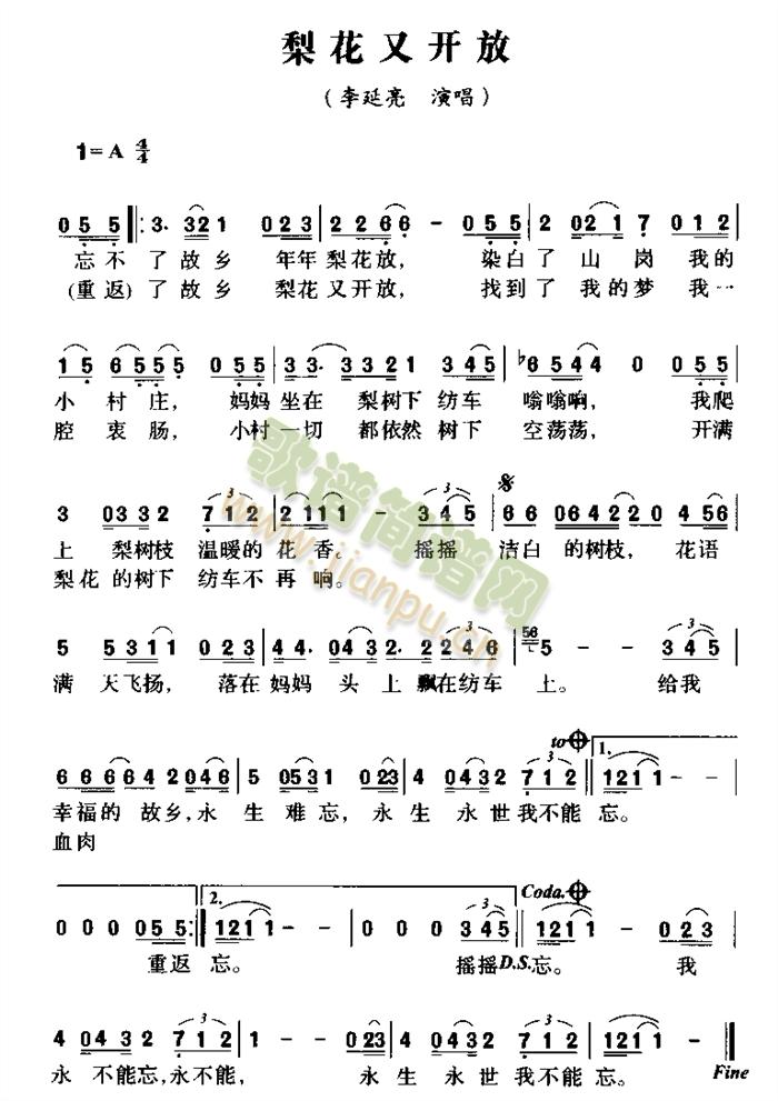 梨花又开放(五字歌谱)1