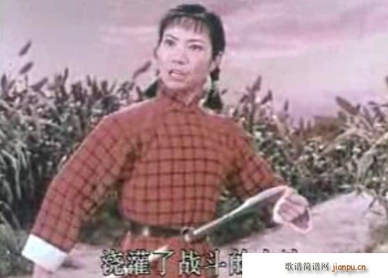 平原作战 做一个中华好儿女(十字及以上)3