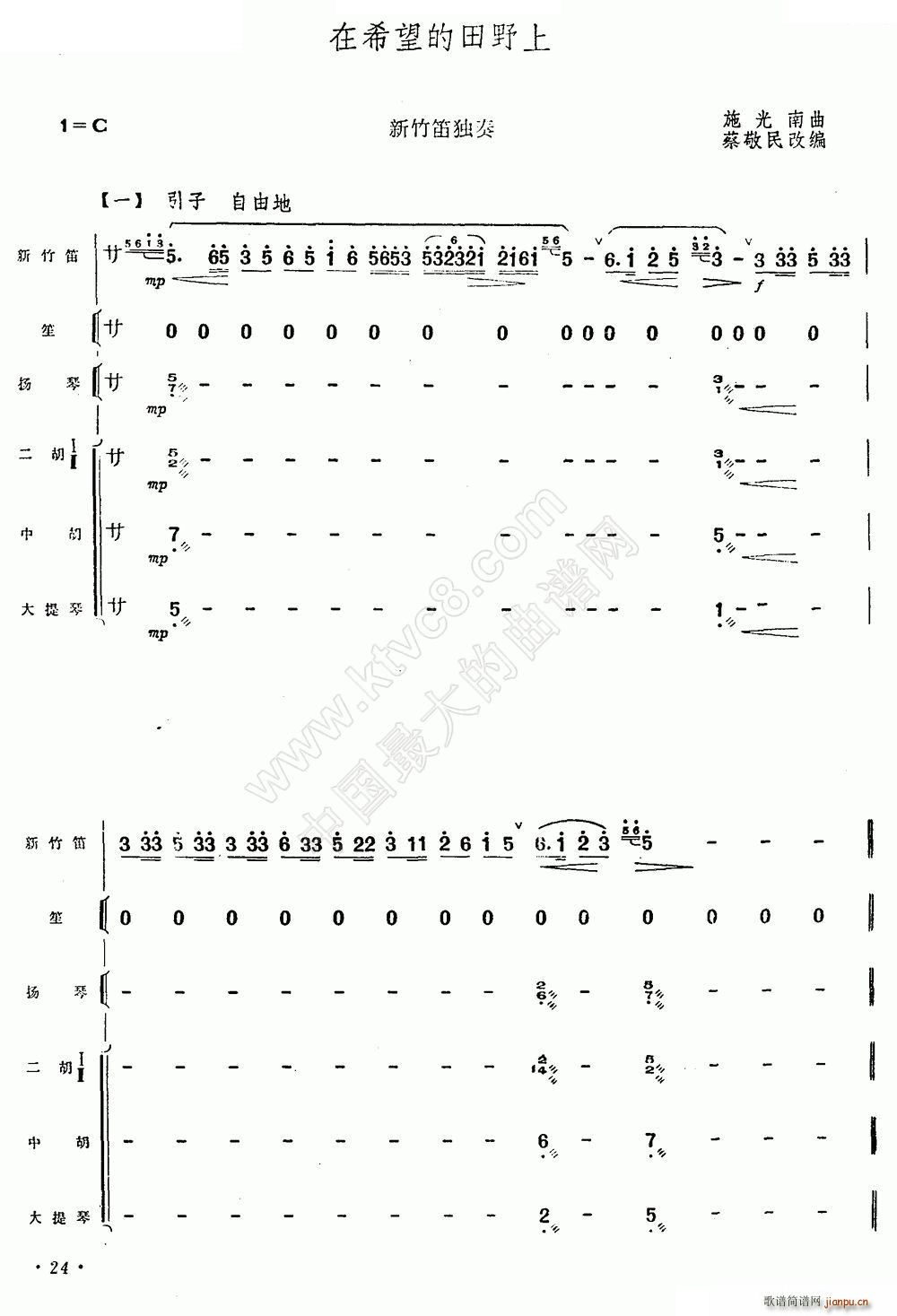 在希望的田野上 新竹笛 乐队伴奏(笛箫谱)1