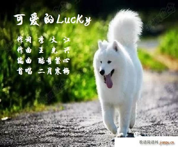 可爱的Lucky(八字歌谱)1