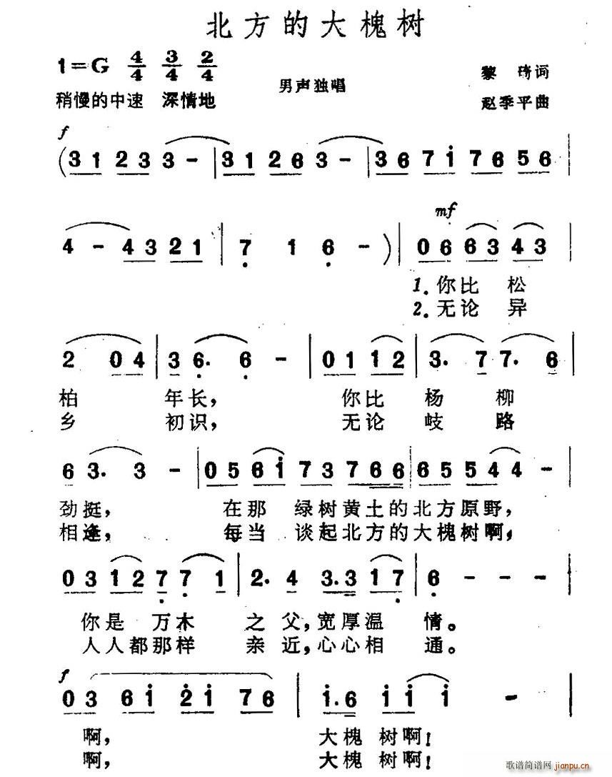 北方的大槐树(六字歌谱)1