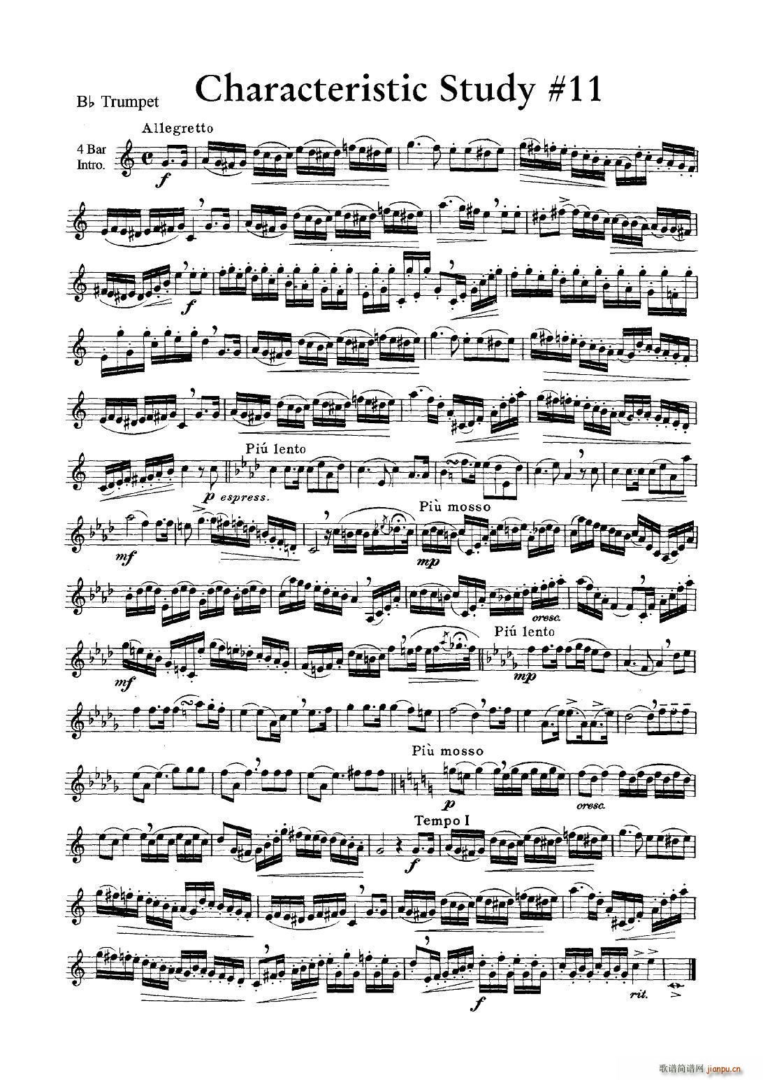 Characteristic Study 11 小号(十字及以上)1