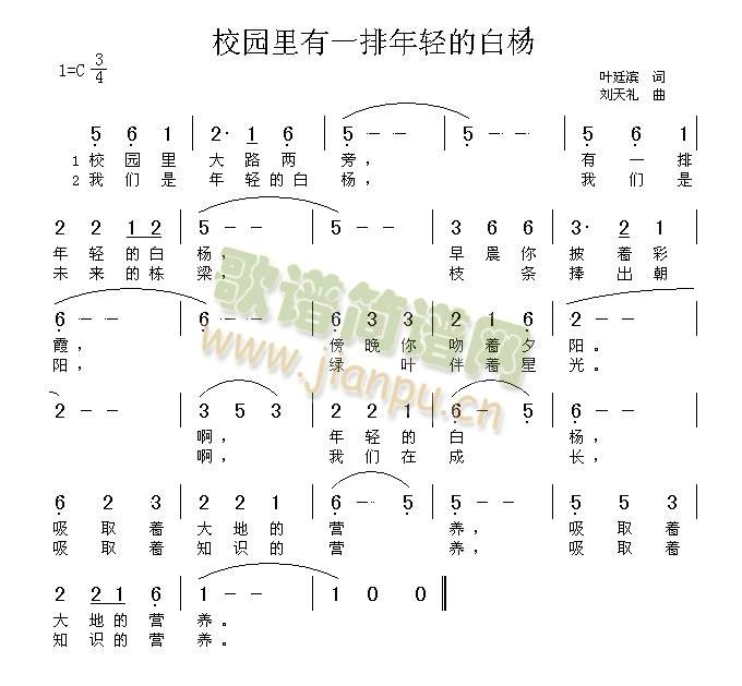 校园里有一排年轻的白杨(十字及以上)1