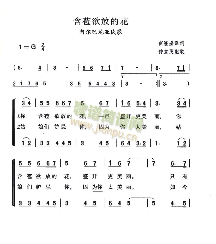 含苞欲放的花(六字歌谱)1